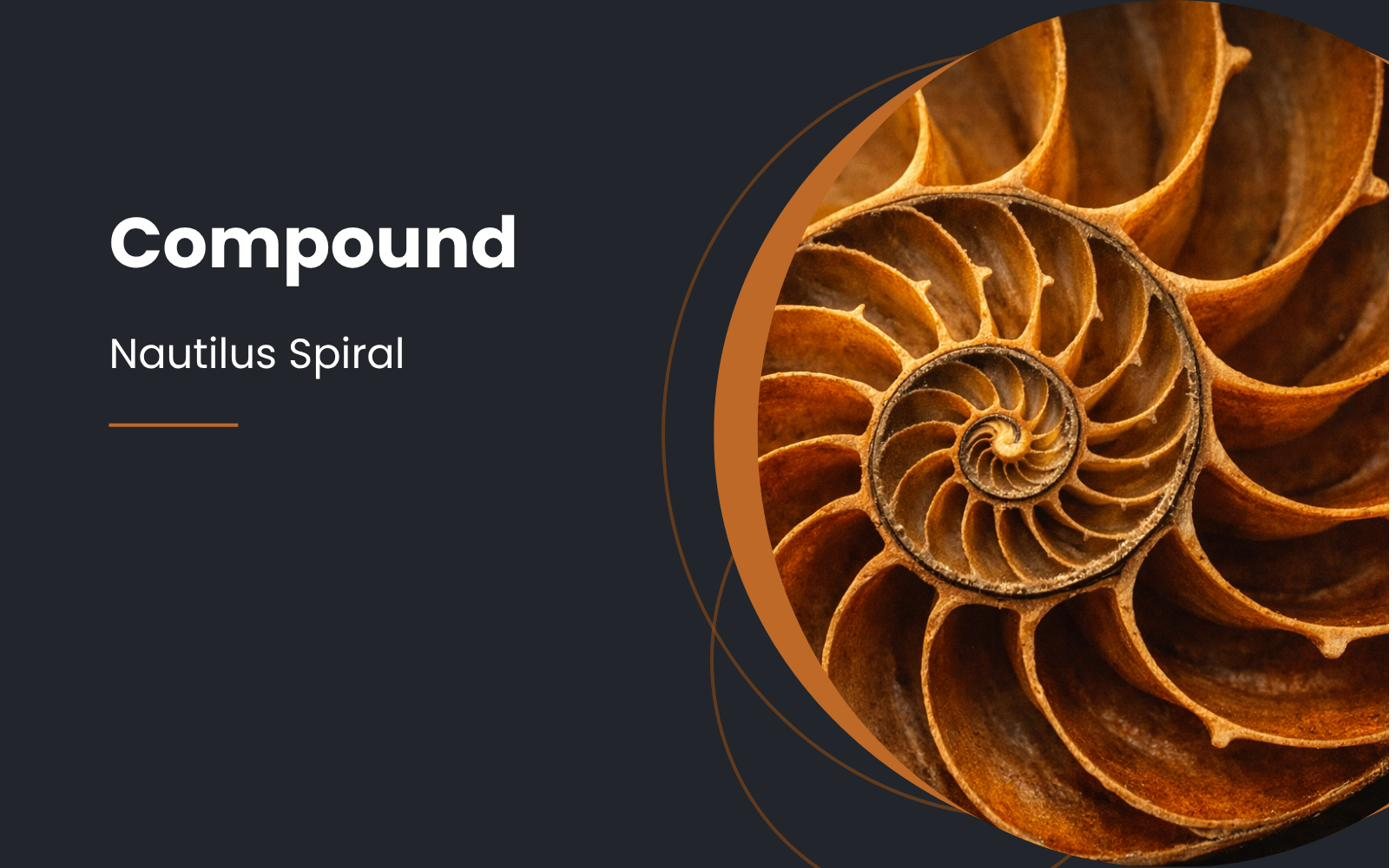 The spiral chambers of a nautilus shell, illustrating the Compound stage