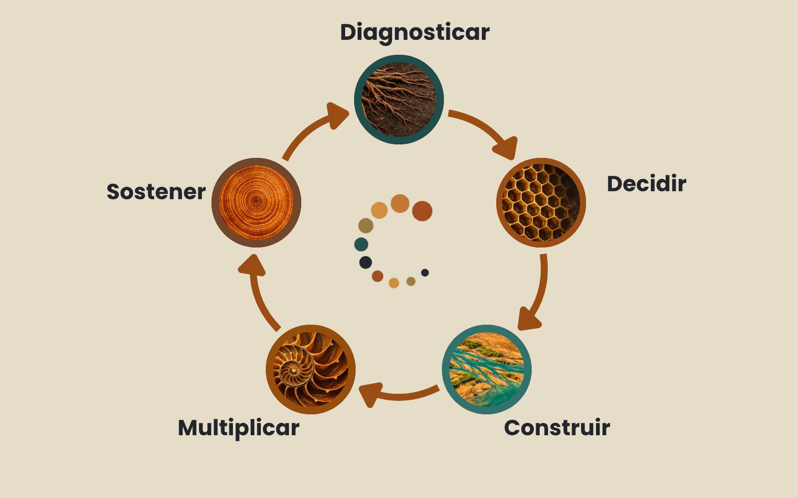 El Efecto Compuesto: Diagnosticar, Decidir, Construir, Multiplicar y Sostener, como un ciclo continuo