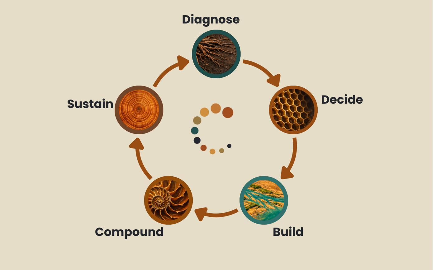 The Compound Effect flywheel: Diagnose, Decide, Build, Compound, Sustain, Repeat