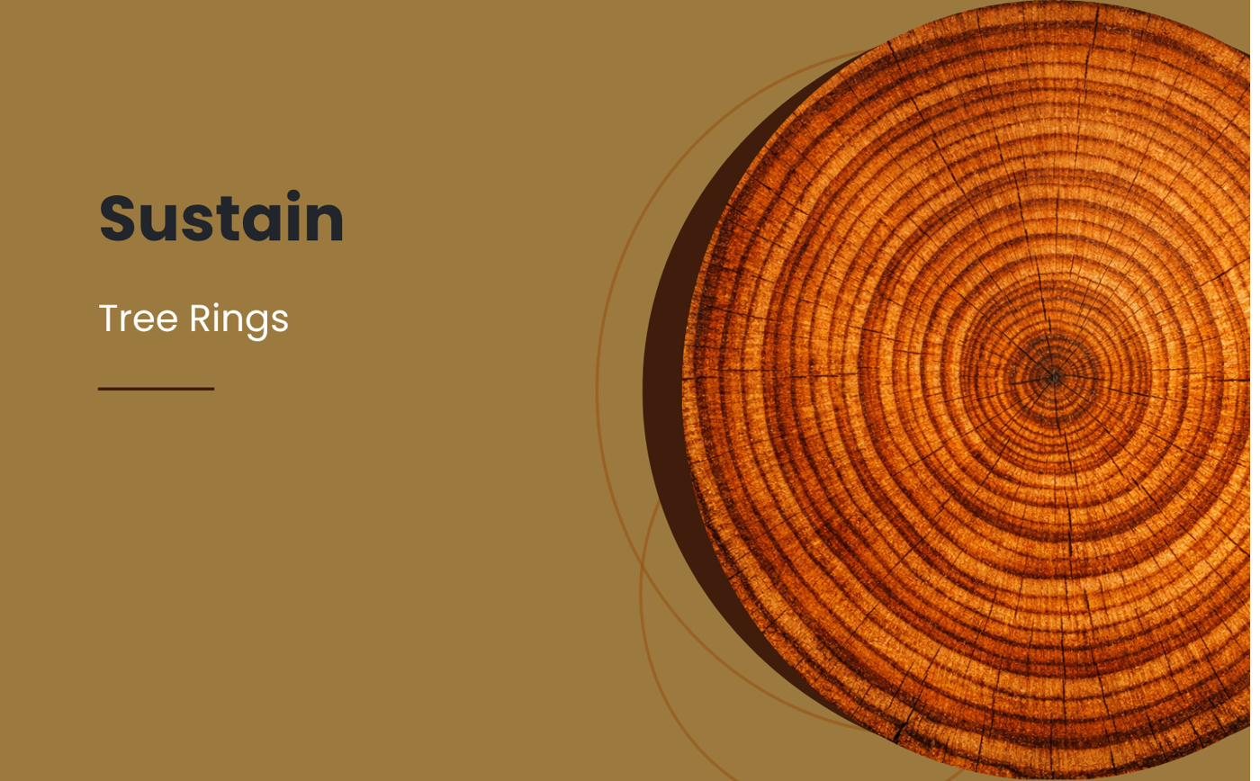 The growth rings of a cut tree trunk, illustrating the Sustain stage